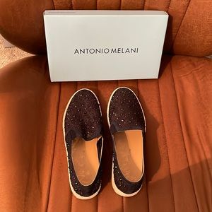 Antonio Melani Slides